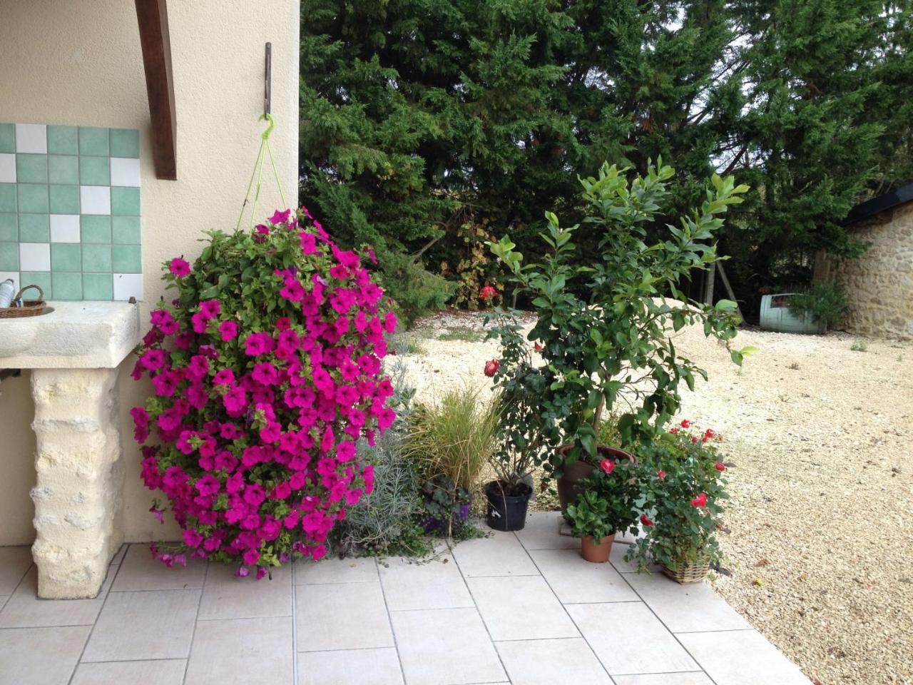 Hotel Chateau Haut Baron Saint-Estèphe Esterno foto